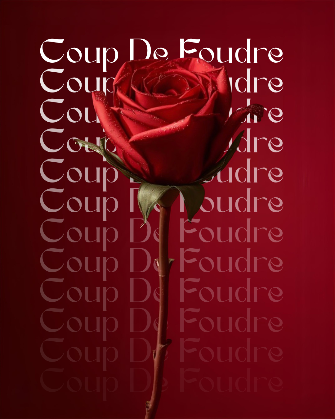 Coup De Foudre
